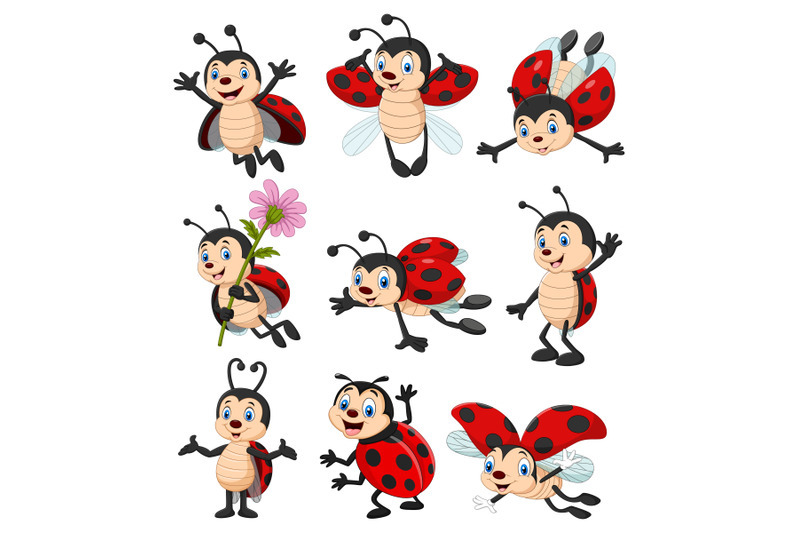 cartoon-ladybug-collection-set