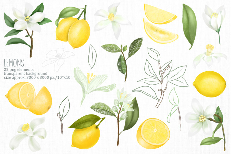 lemons-amp-limes-collection
