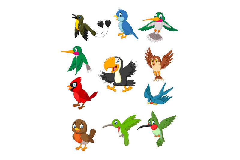 cartoon-birds-collection-set