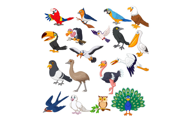 cartoon-birds-collection-set