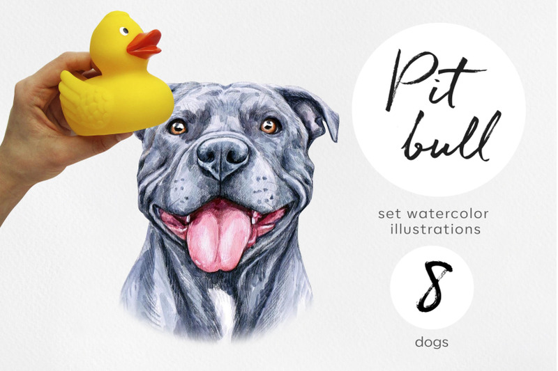 pitt-bull-dog-watercolor-dogs-illustrations-cute-8-dogs