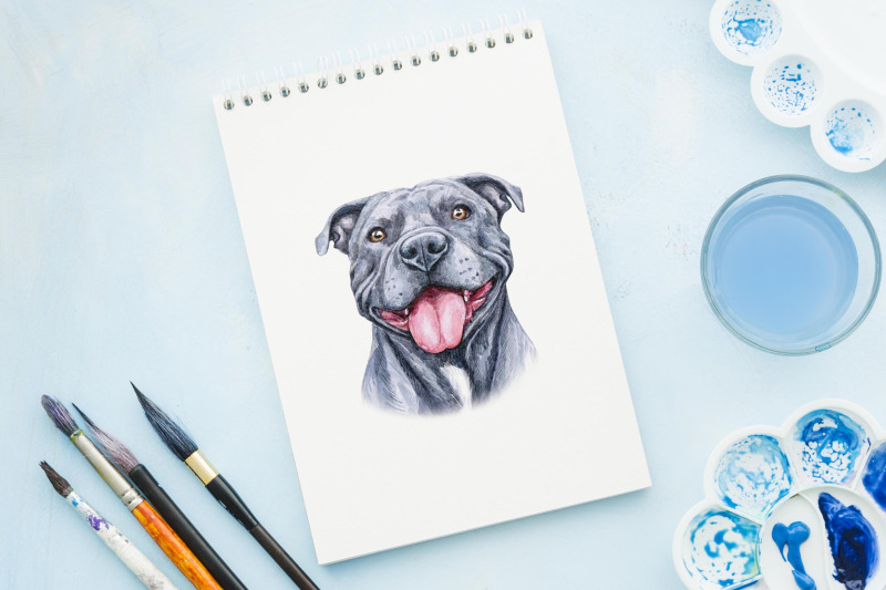 pitt-bull-dog-watercolor-dogs-illustrations-cute-8-dogs
