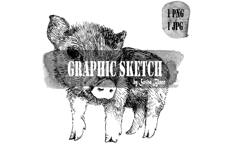 graphic-sketch-pig