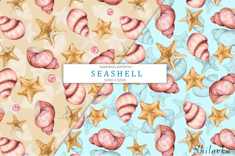 seashells-2-watercolor-set-patterns