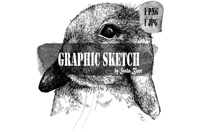 graphic-sketch-hare-head