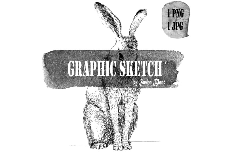 graphic-sketch-hare