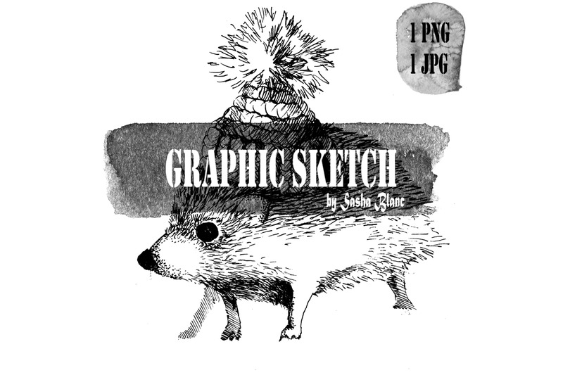 graphic-sketch-hedgehog
