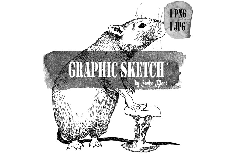 graphic-sketch-rat