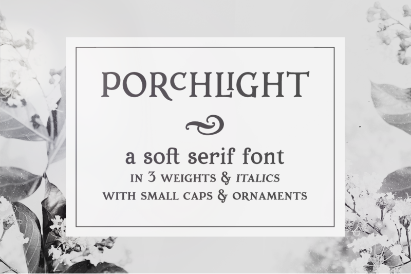 porchlight-trendy-serif-font