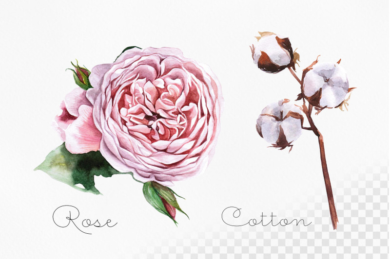watercolor-set-illustrations-flower-wedding-decor-nature