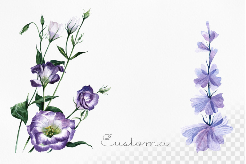 watercolor-set-illustrations-flower-wedding-decor-nature
