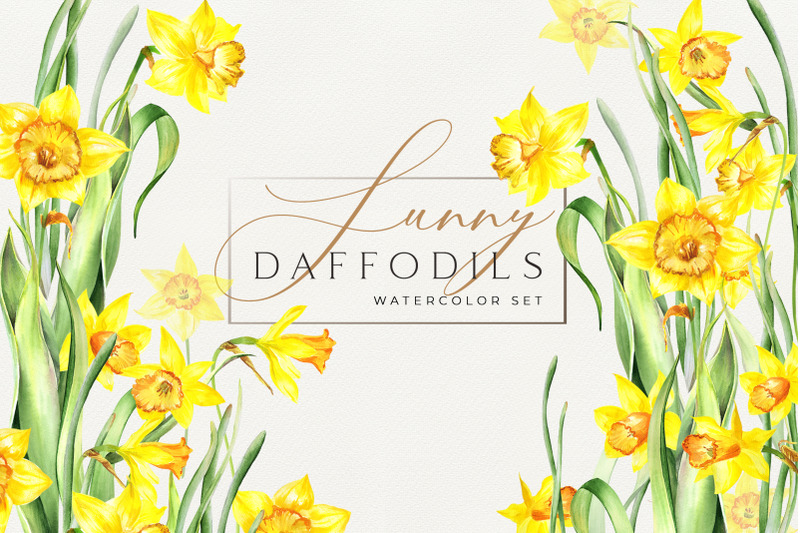 watercolor-sunny-daffodils-set