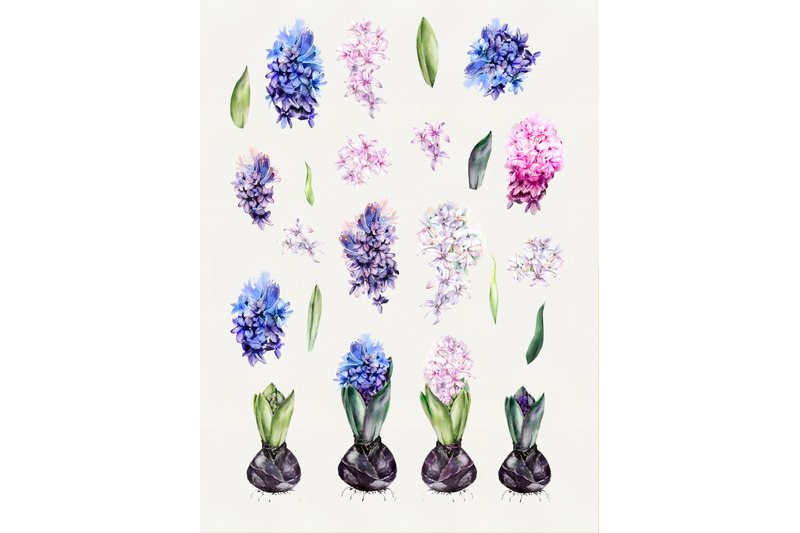 watercolor-romantic-hyacinths-set