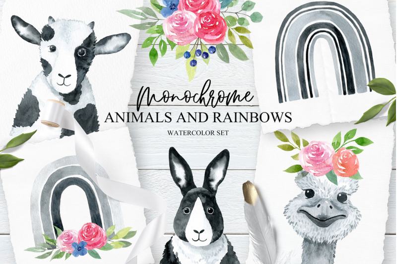 monochrome-animals-and-raibows