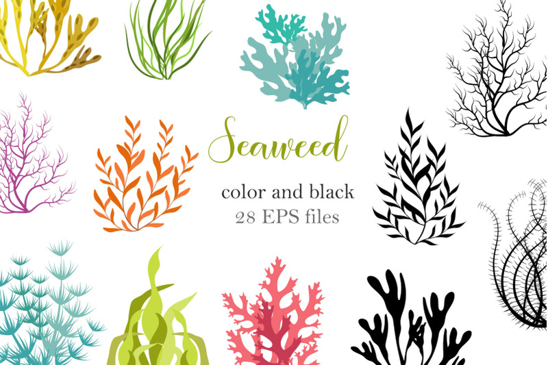 seaweed-color-and-black