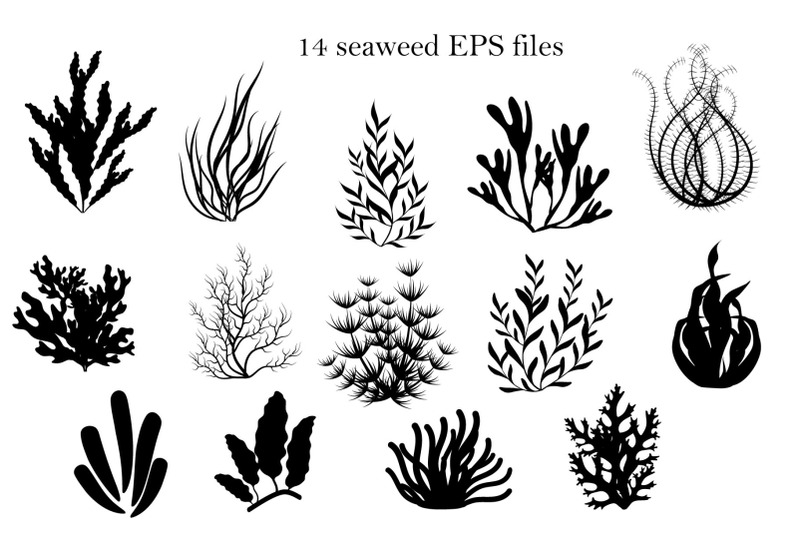 seaweed-color-and-black