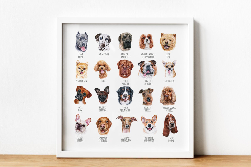 part-1-big-watercolor-illustrations-set-dog-breeds