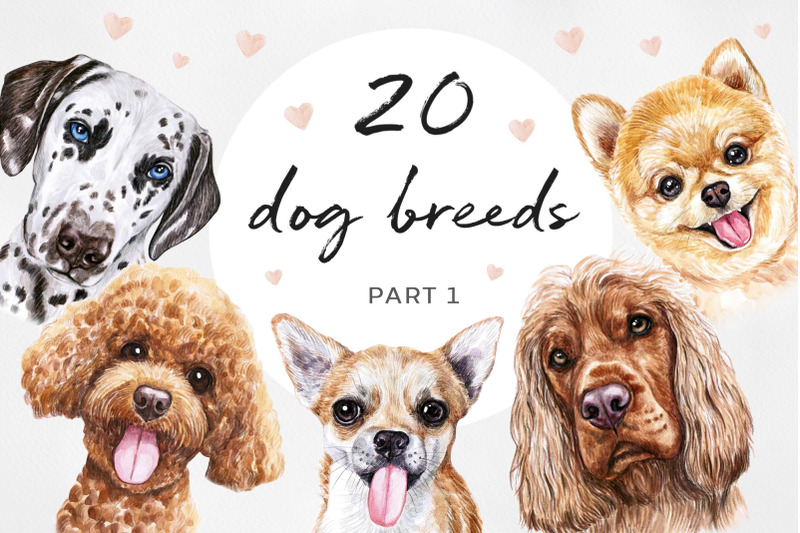 part-1-big-watercolor-illustrations-set-dog-breeds