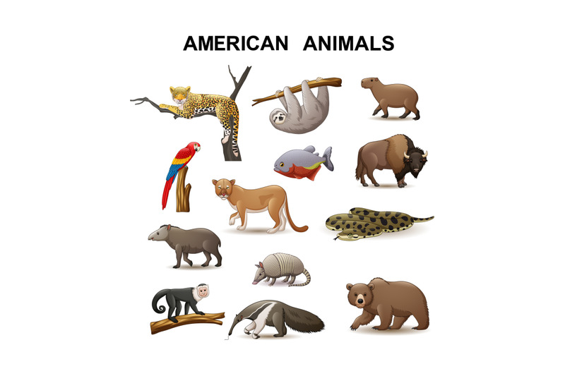 american-animal-collection-set
