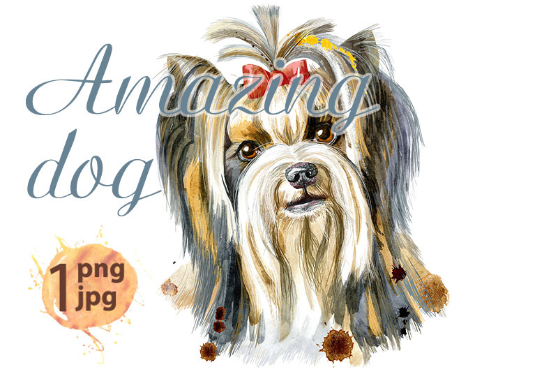 watercolor-portrait-of-yorkshire-terrier-breed-dog