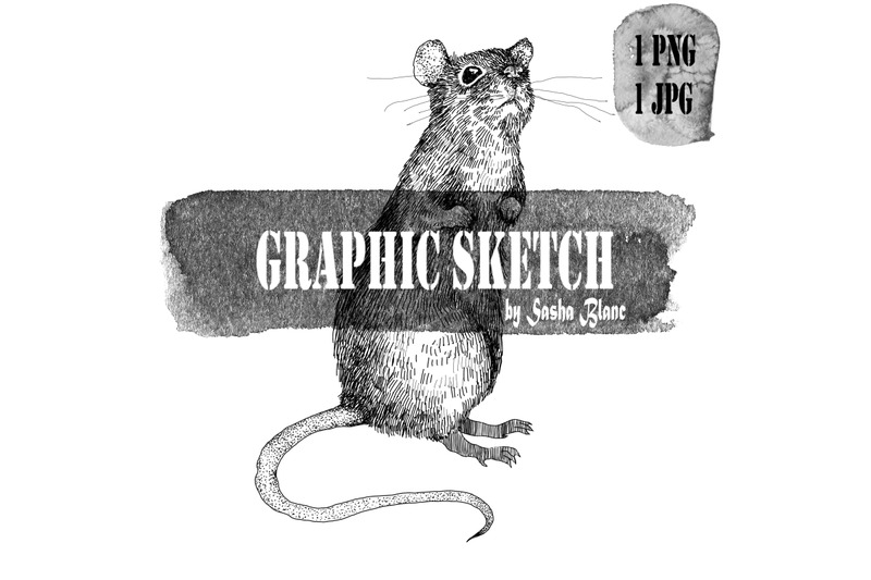 graphic-sketch-rat-3