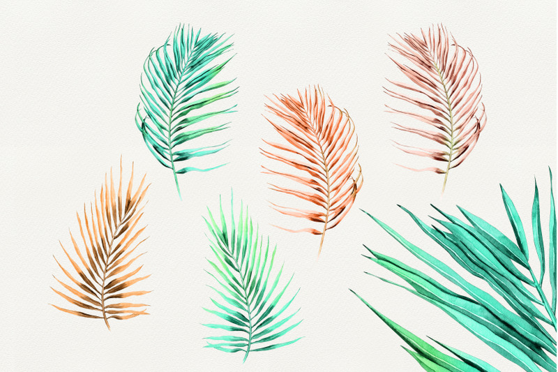 watercolor-palm-leaves-clipart-png-tropical-wedding-summer-clipart