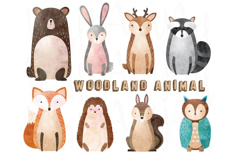 watercolor-woodland-animal-elements