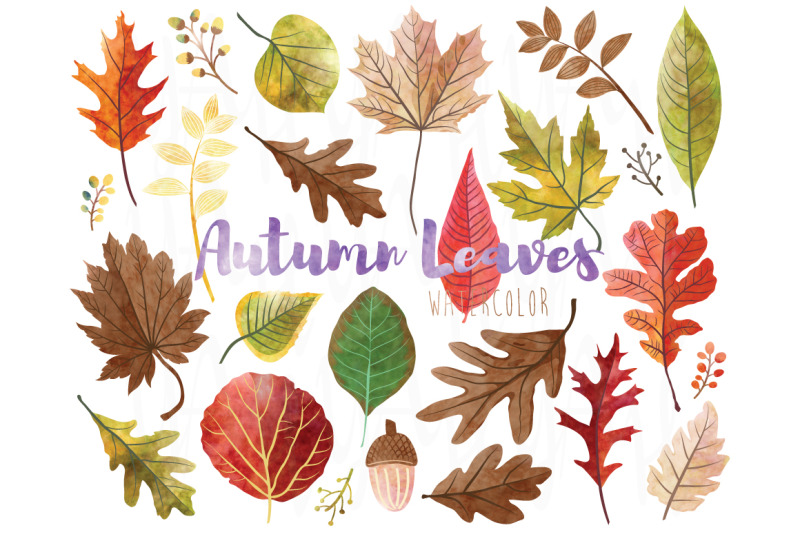 watercolor-fall-leaves-collections