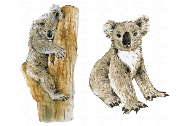 watercolor-koala-collection