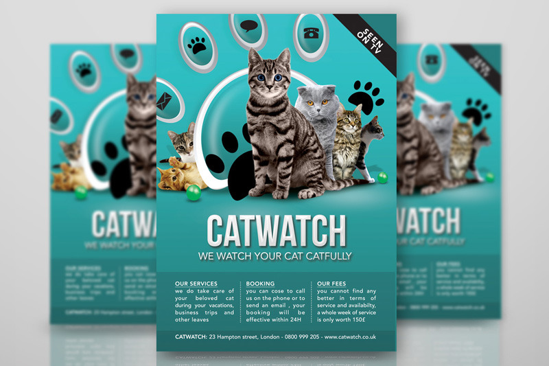 cat-lover-shop-watch-care-business