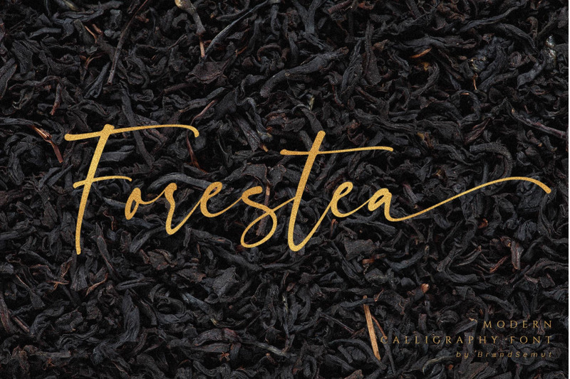 forestea-classy-script