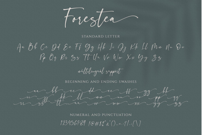 forestea-classy-script