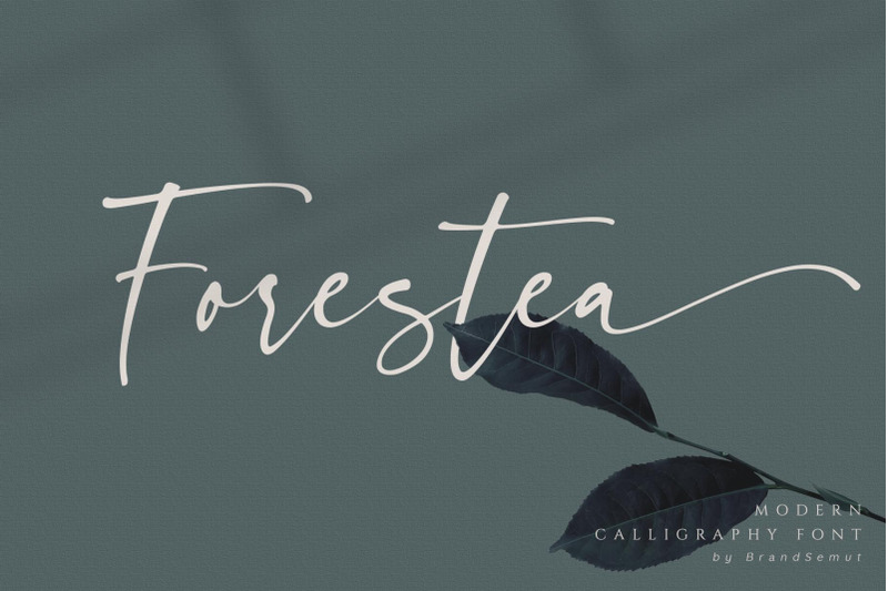forestea-classy-script