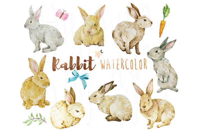 bunny-watercolor-elements