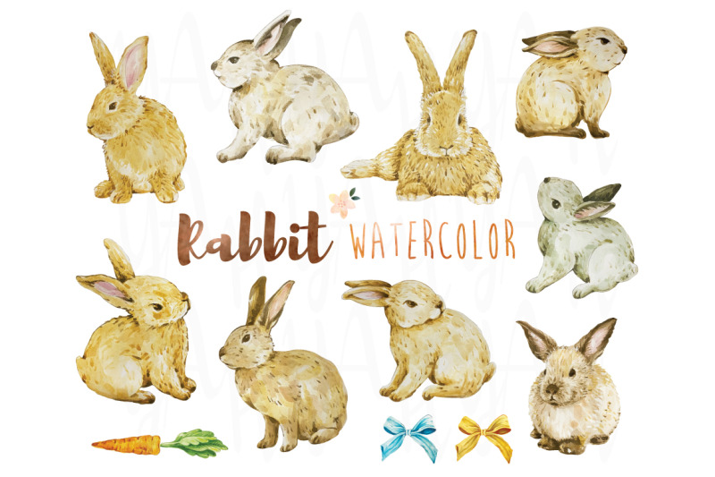 rabbit-watercolor-collections-set