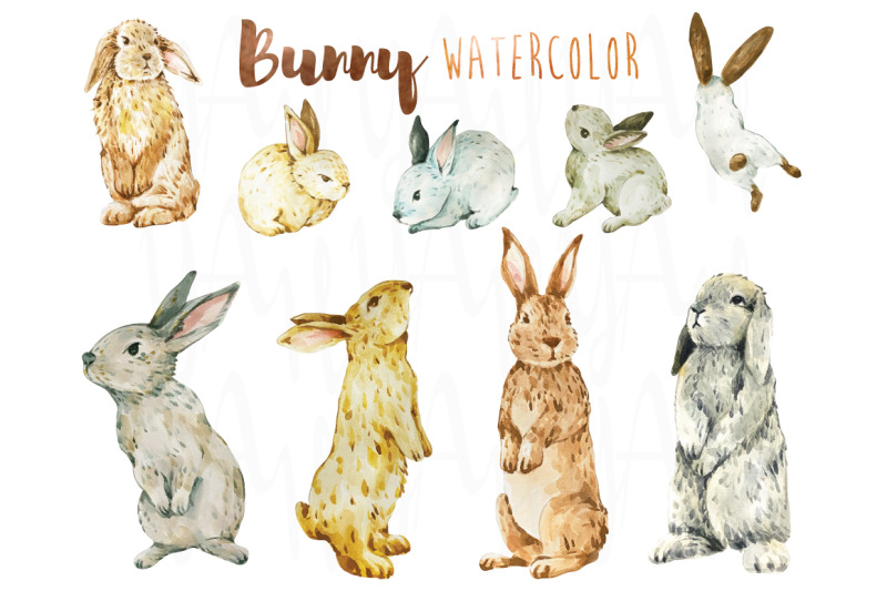 cute-bunny-watercolor-collections
