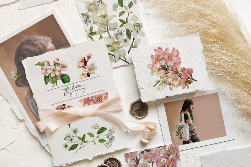 tender-floral-botany-retro-vintage-printable-flowers-illustrations