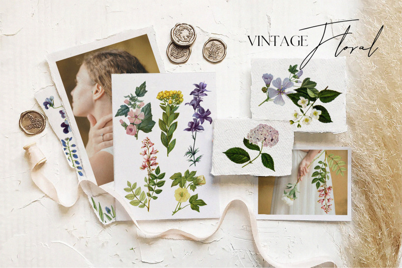 vintage-tender-botanical-illustrations-set