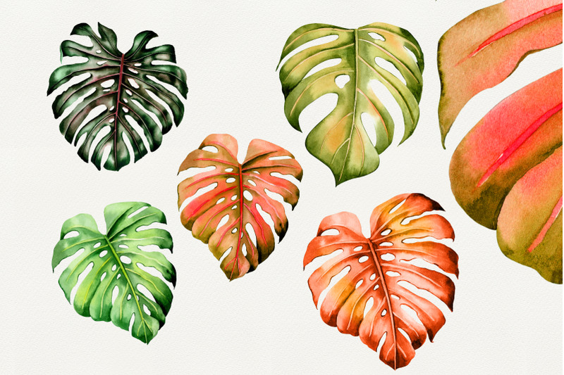 watercolor-palm-leaves-clipart-png-tropical-wedding-summer-clipart