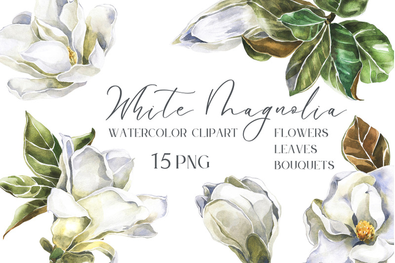 white-magnolia-flowers-leaves-and-bouquets-watercolor-set
