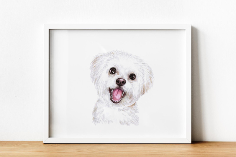 watercolor-set-white-fluffy-nbsp-dog-illustrations-10-dogs