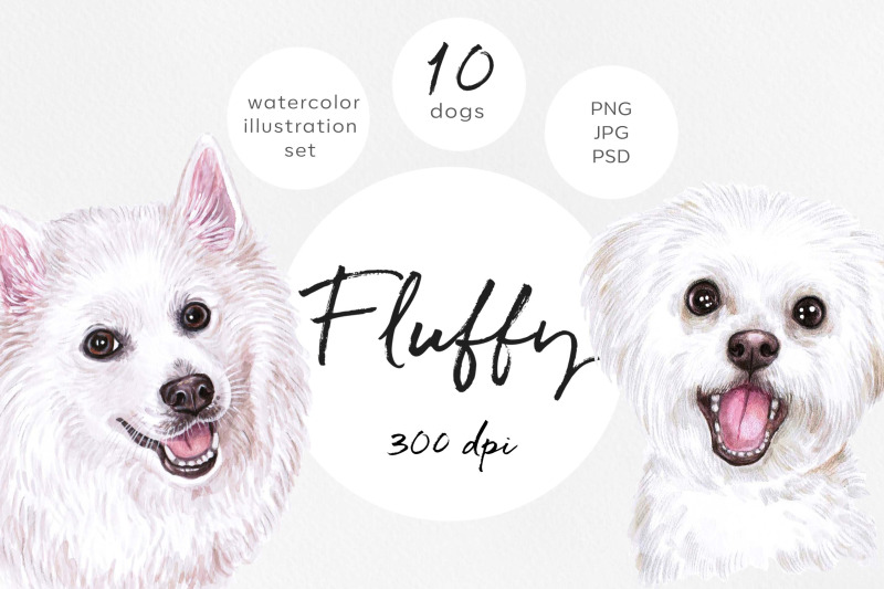 watercolor-set-white-fluffy-nbsp-dog-illustrations-10-dogs