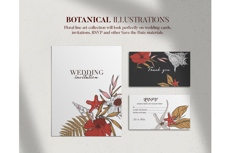 floral-and-seashell-line-art-branding-kit-e-commerce-banner-clipart