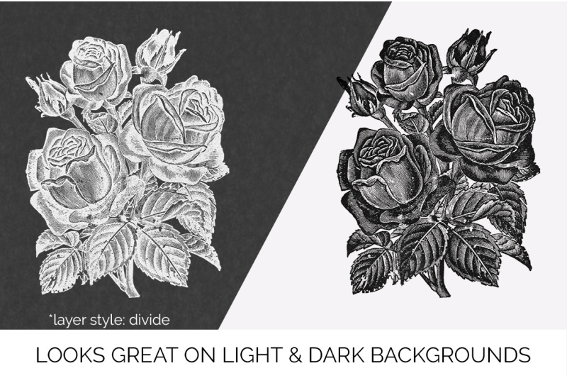 flower-clipart-black-and-white-jacqueminot-meteor-rose-vintage-clipa