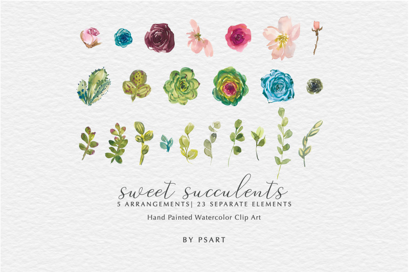 watercolor-succulents-amp-flowers-clip-art-set