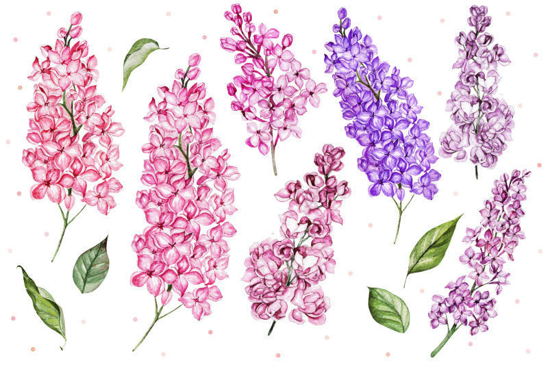hand-drawn-watercolor-lilac