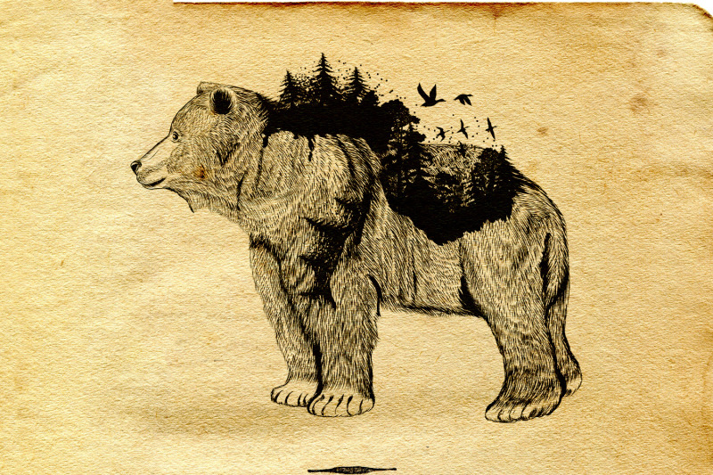 animal-series-wild-soul-bear-vector-illustration