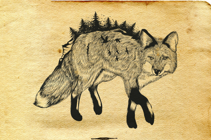 animal-series-wild-soul-fox-vector-illustration