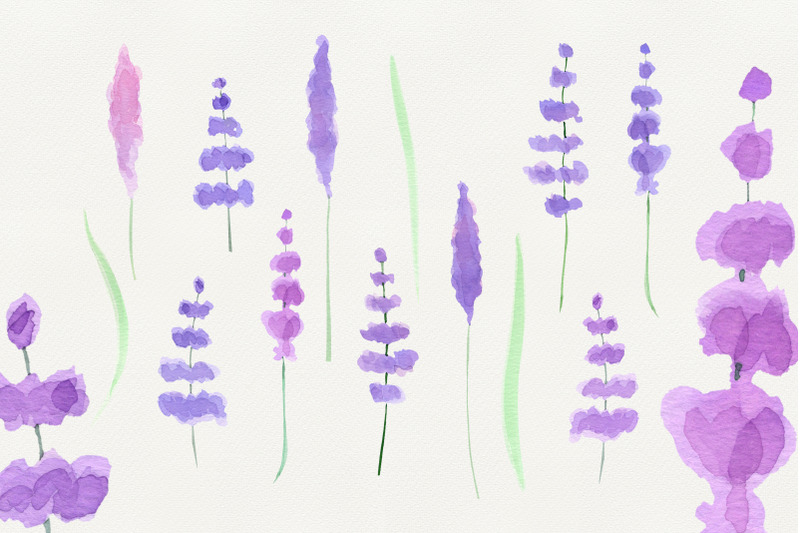 watercolor-lavender-clipart-png-provence-clipart-lavender-france
