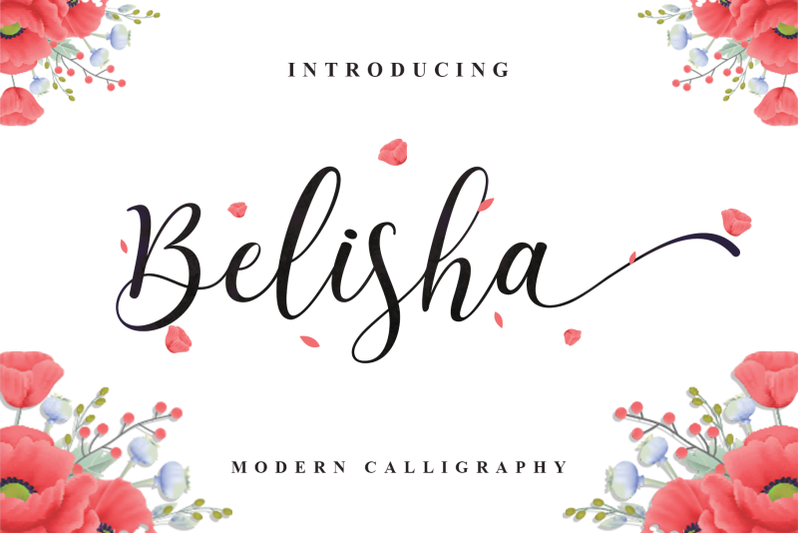 belisha-modern-script